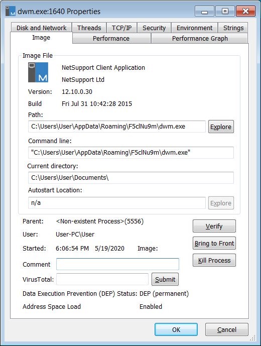 اجرای Netsupport Manager به صورت DWM.exe