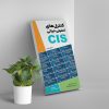 کنترل های امنیتی حیاتی CIS نسخه 8
